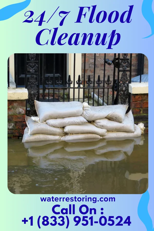 24/7 Flood Cleanup in Mason, MI