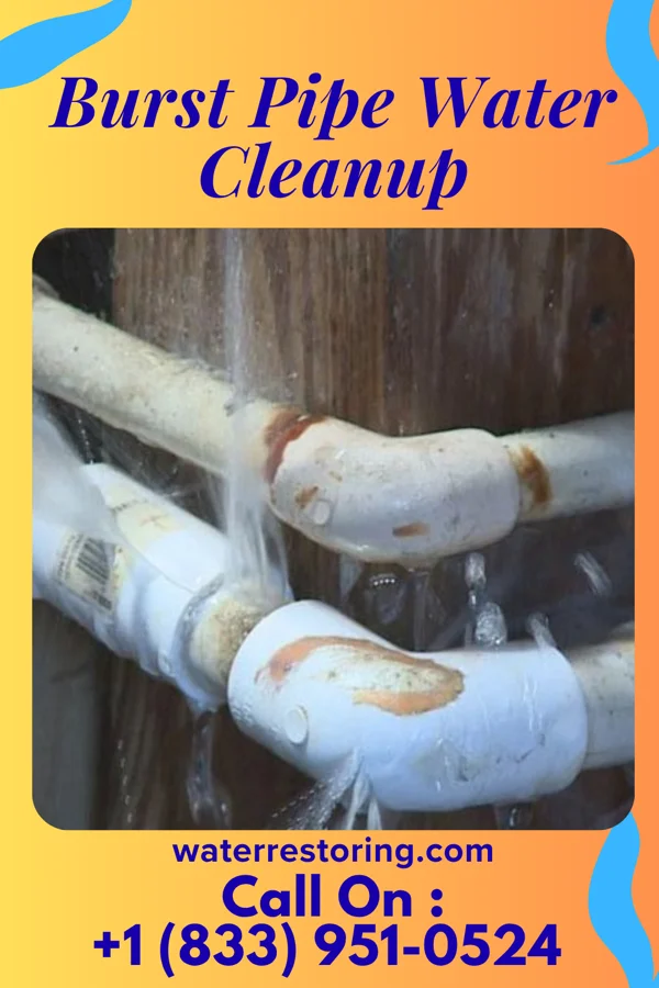 Burst Pipe Water Cleanup in Mason, MI
