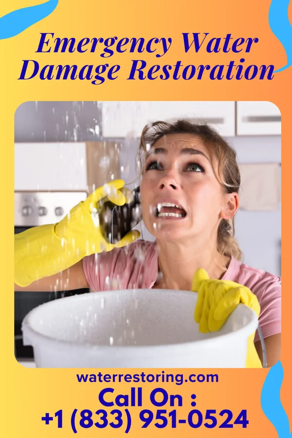 Emergency Water Damage Restoration in Mason, MI