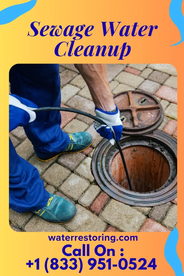 Sewage Water Cleanup in Mason, MI